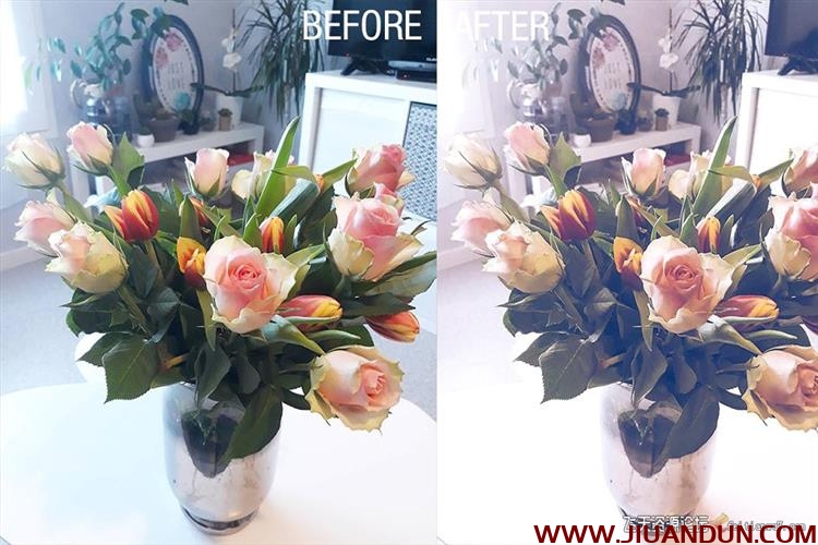24个花卉植物摄影后期免费Lightroom预设24 flowers lightroom Presets LR预设 第6张