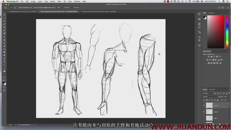 人像解剖学全身头部身体等数字绘画大师级视频教程中文字幕 CG 第3张