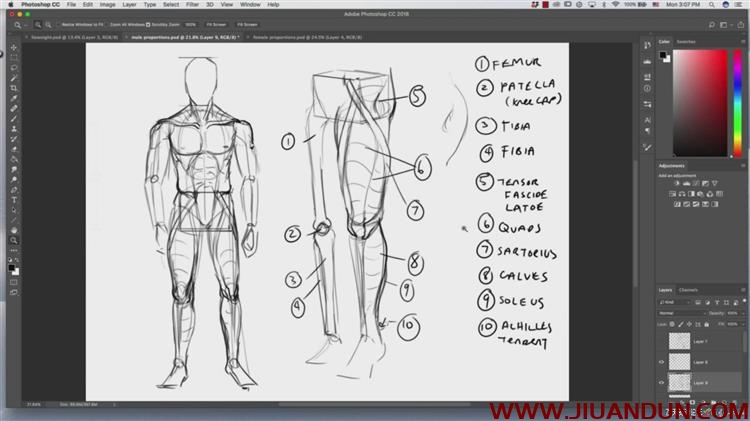 人像解剖学全身头部身体等数字绘画大师级视频教程中文字幕 CG 第4张