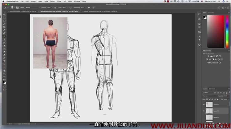 人像解剖学全身头部身体等数字绘画大师级视频教程中文字幕 CG 第14张