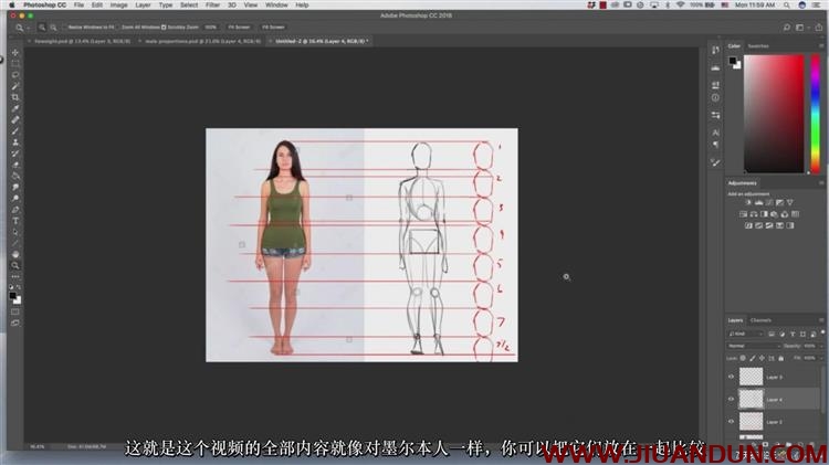 人像解剖学全身头部身体等数字绘画大师级视频教程中文字幕 CG 第15张