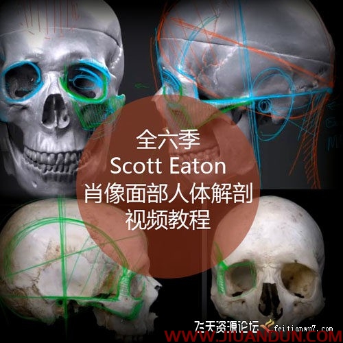 肖像面部人体解剖数字绘画视频教程全六季 CG 第1张