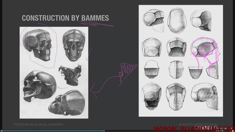 肖像面部人体解剖数字绘画视频教程全六季 CG 第3张