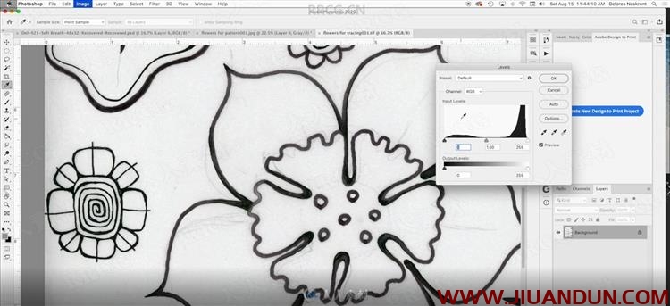 AI矢量平面花朵图形创建过程视频教程 AI 第4张