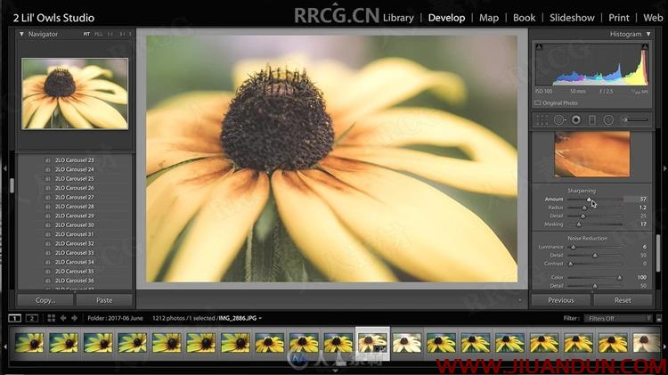 PS添加纹理及后期图像处理视频教程 PS教程 第3张