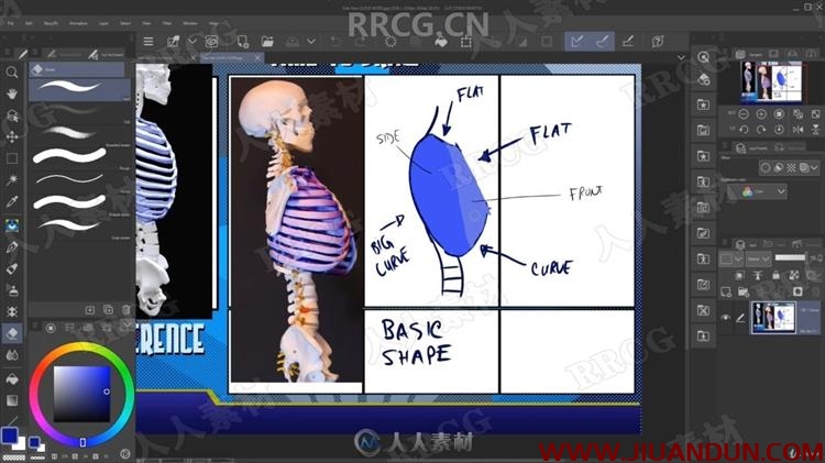 人类结构骨骼肌肉形态绘画解剖原理视频教程 CG 第13张