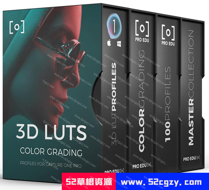 PRO EDU-大师收藏-用于Capture One Pro的100个3D LUT配置文件(附教程) LR预设 第1张