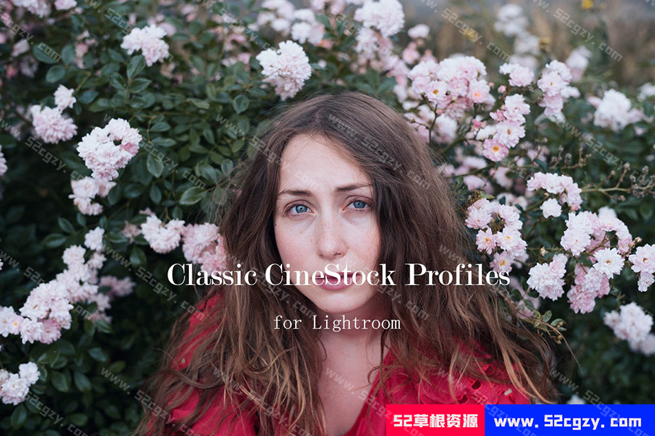 The Classic Presets 经典胶卷Lightroom配置文件Classic CineStock Profiles LR预设 第1张